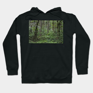 The Forest Hoodie